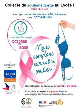 octobre rose.jpg